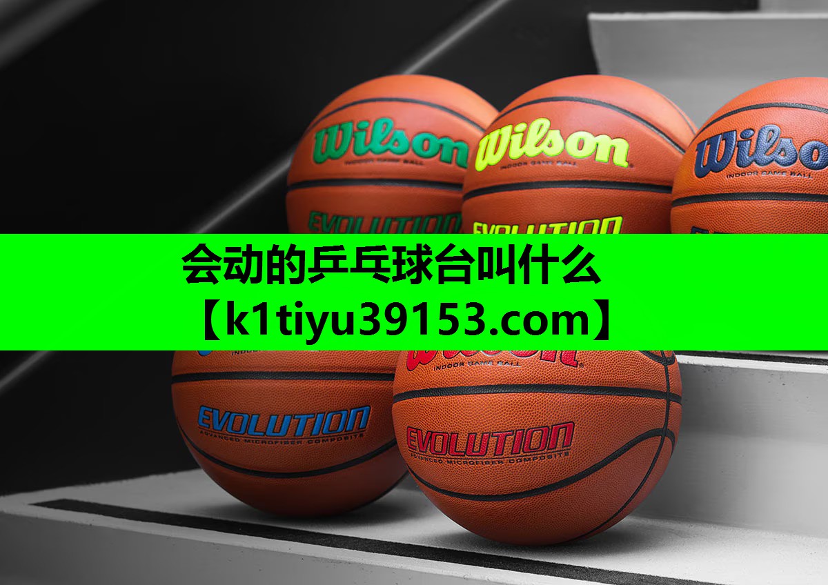 会动的乒乓球台叫什么
