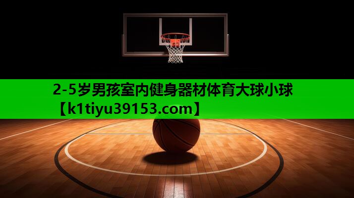 2-5岁男孩室内健身器材体育大球小球