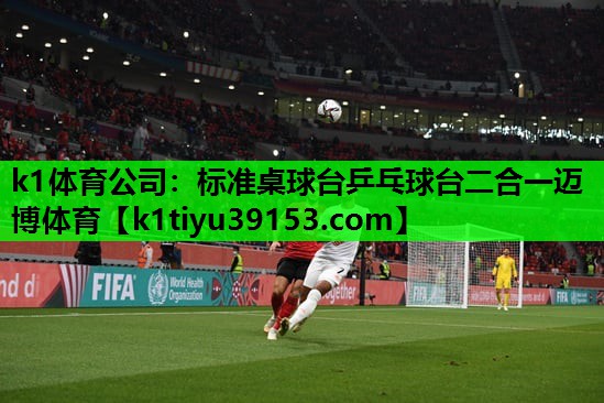 k1体育公司：标准桌球台乒乓球台二合一迈博体育