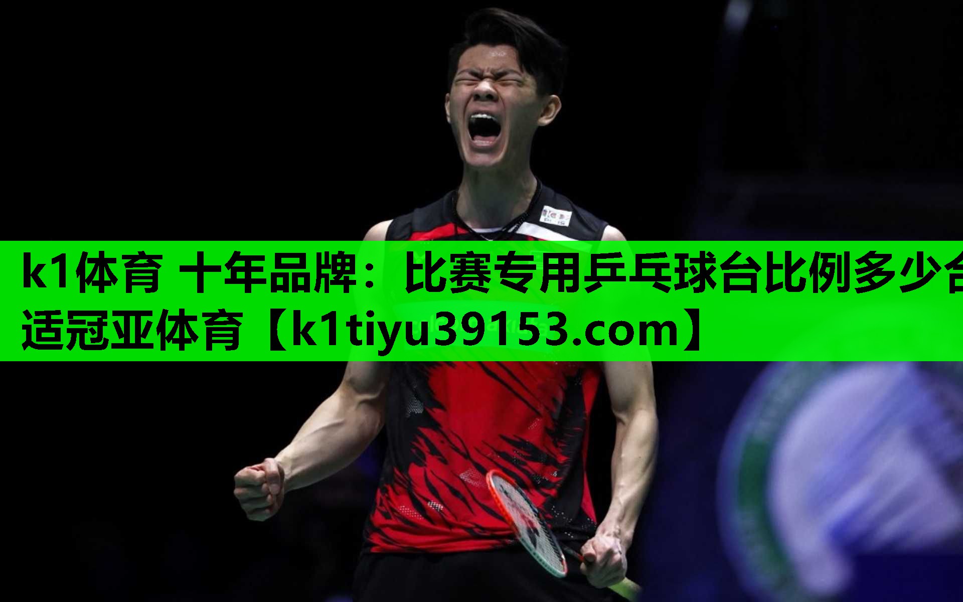 k1体育 十年品牌：比赛专用乒乓球台比例多少合适冠亚体育