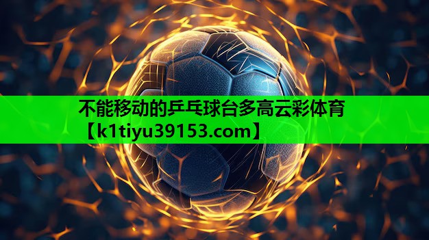 不能移动的乒乓球台多高云彩体育