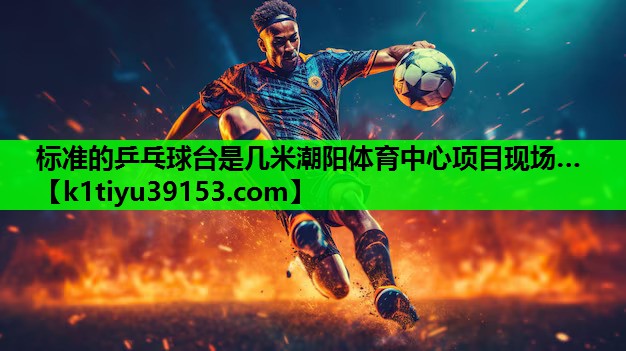 标准的乒乓球台是几米潮阳体育中心项目现场…
