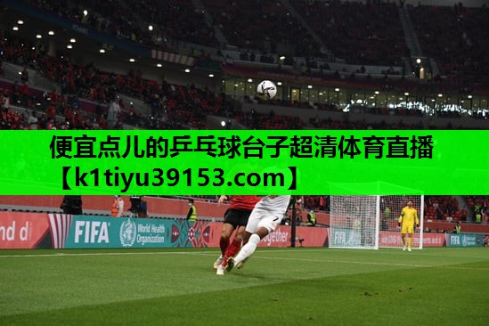 便宜点儿的乒乓球台子超清体育直播