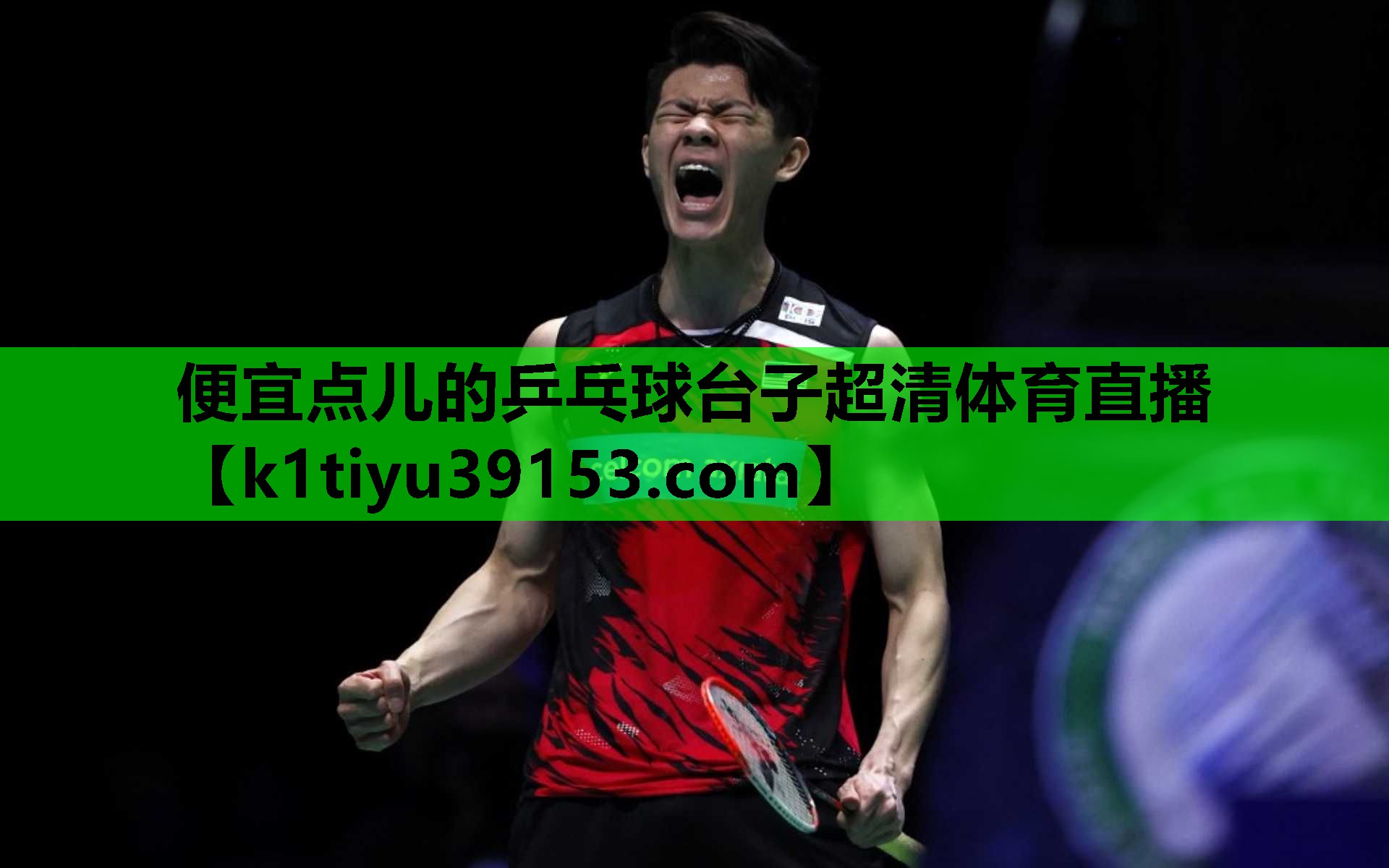便宜点儿的乒乓球台子超清体育直播