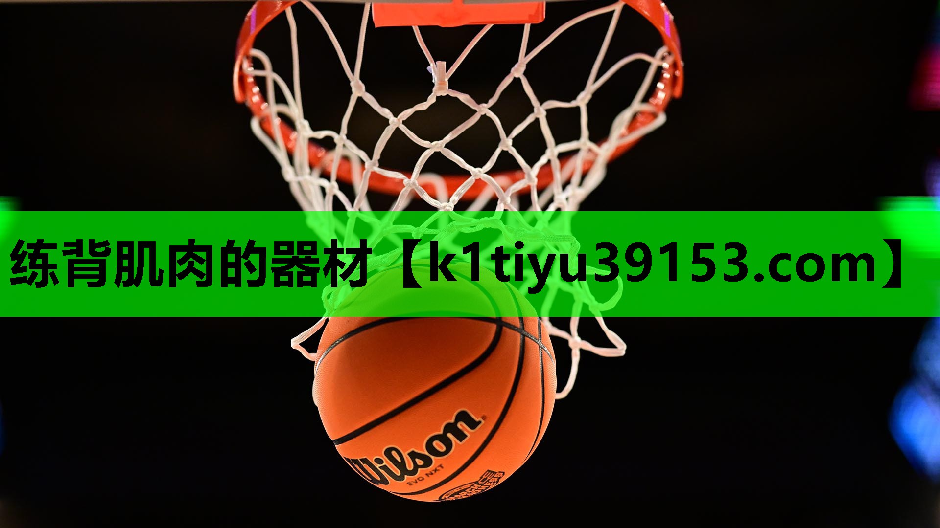 练背肌肉的器材