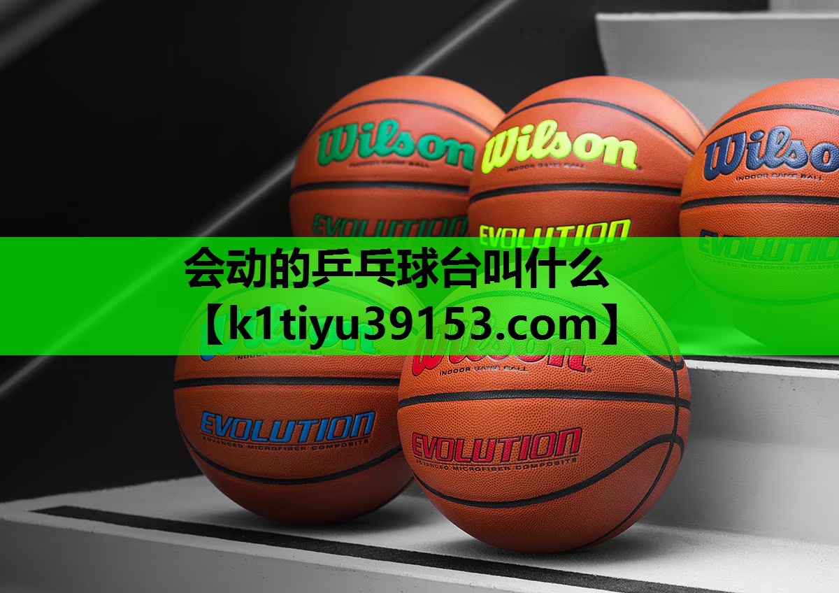 会动的乒乓球台叫什么