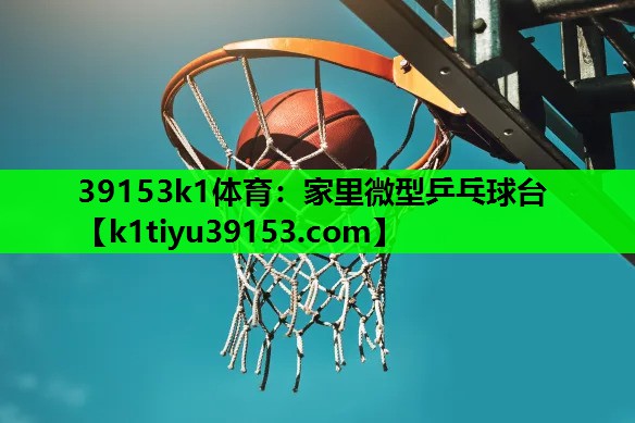 家里微型乒乓球台