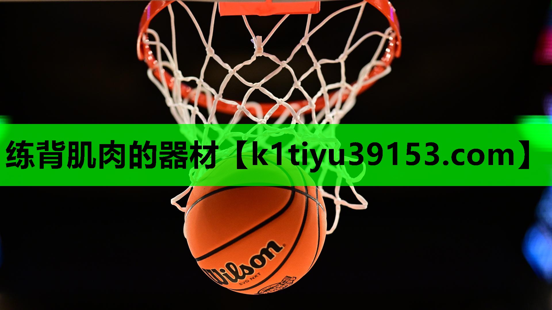 练背肌肉的器材